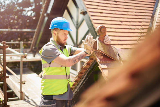 Best Flat Roof Repair Services  in Coal Valley, IL